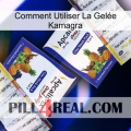 Comment Utiliser La Gelée Kamagra 12